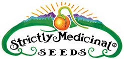 Wholesale Strictly Medicinal Seeds
