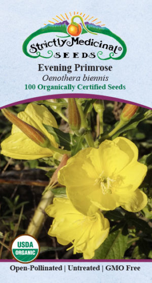 Color Evening Primrose (Oenothera biennis) Seed Packet, Organic