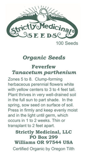 Feverfew (Tanacetum parthenium) Seed Packet, Organic