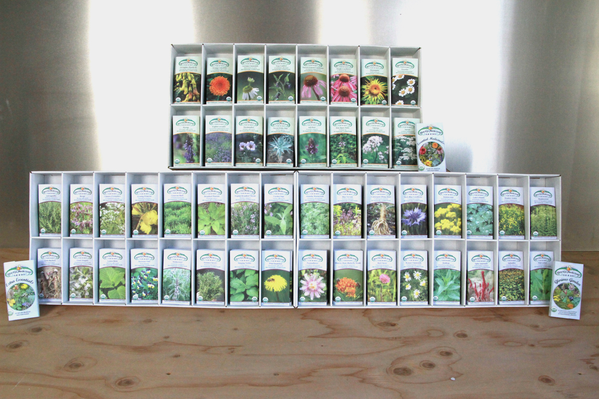 Glorious Garden Medicinals Seed Display, 12 Each of 48 Color Illustrated Seed Packets (packed in 3 display racks), Organic
