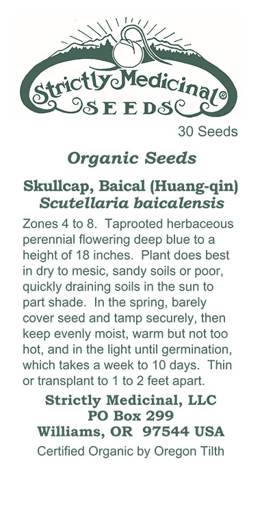 Skullcap, Baical (Scutellaria baicalensis) Seed Packet, Organic