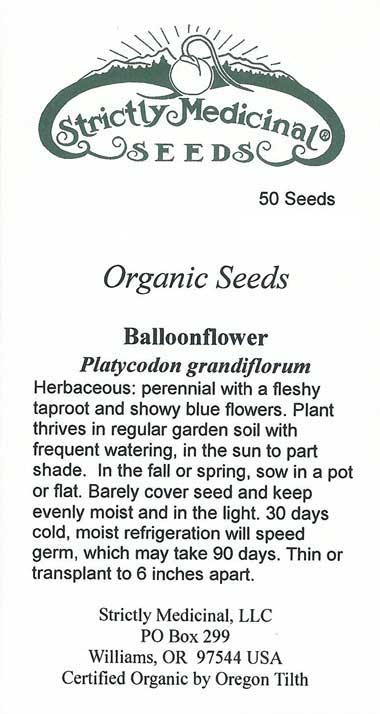 Balloonflower