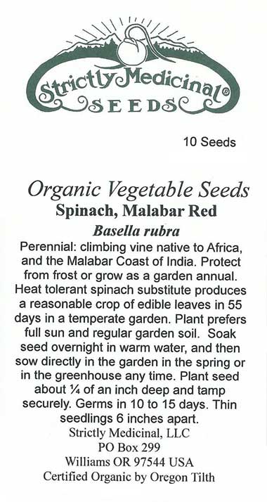 Malabar Red Spinach